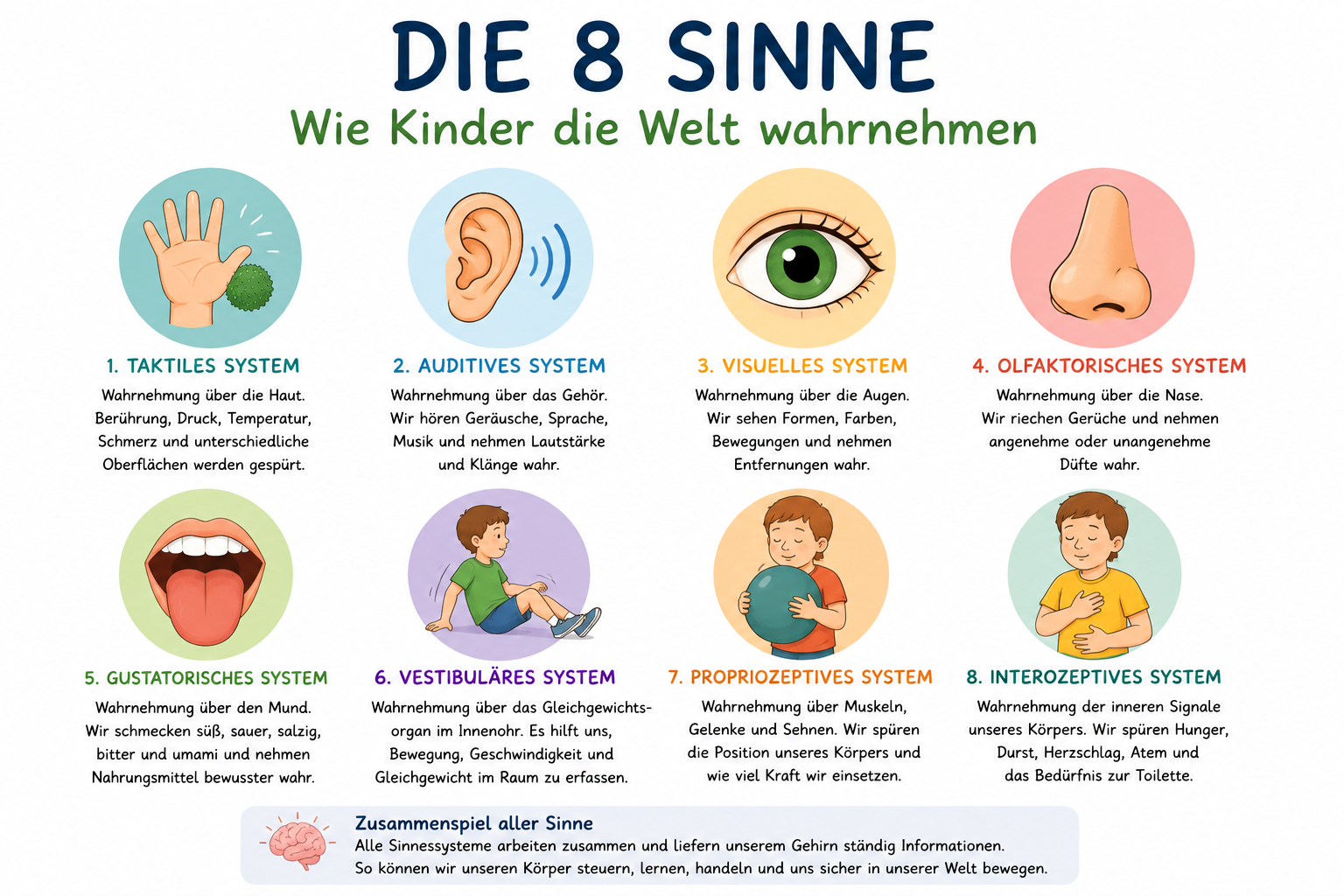 Die 8 Sinne_ Kinder nehmen wahr